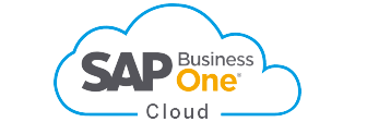 ERP SAP Business One Cloud